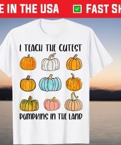 I Teach The Cutest Pumpkins In The Land Teacher Fall Season Gift T-Shirt