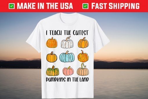 I Teach The Cutest Pumpkins In The Land Teacher Fall Season Gift T-Shirt