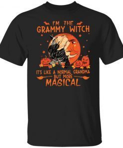 I’m The Grammy Witch It’s Like A Normal Grandma Unisex shirt