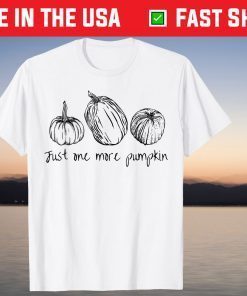 Just One More Pumpkin Thanksgiving Minimalist Aesthetic T-Shirt
