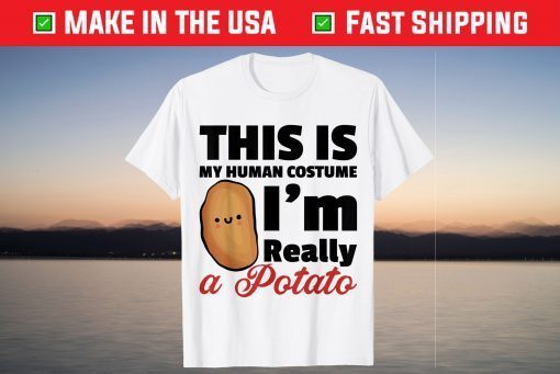 This Is My Human Costume Im Really A Potato Halloween T-Shirt