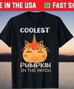 Unicorn Pumpkin Halloween Preschool teacher T-Shirt