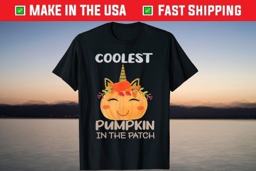 Unicorn Pumpkin Halloween Preschool teacher T-Shirt
