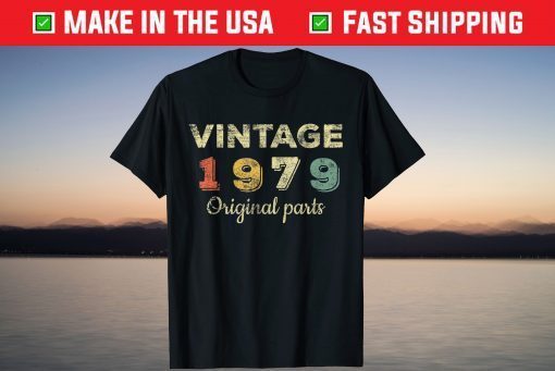 Vintage 1979 Made In 1979 42nd Birthday 42 Years Old T-Shirt