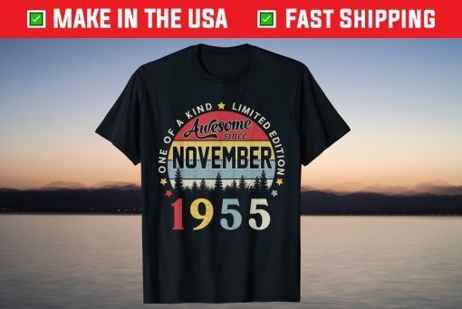 Vintage November 1955 66th Birthday 66 Years Old T-Shirt