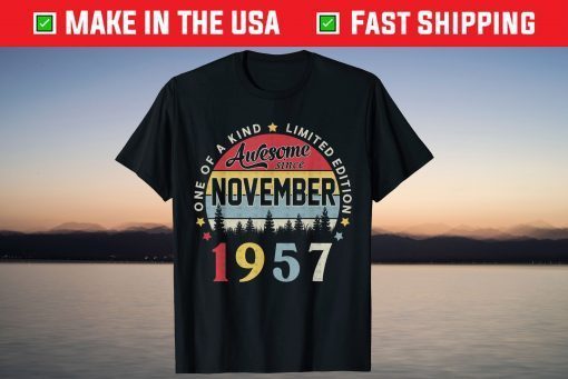 Vintage November 1957 64th Birthday 64 Years Old T-Shirt