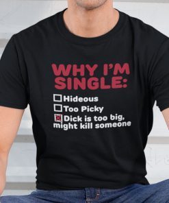 Why I’m Single Hideous Too Picky Dick Is Too Big 2021 Shirt