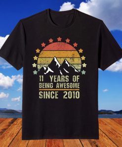 11 Years Old Retro 2010 Vintage 11th Birthday T-Shirt