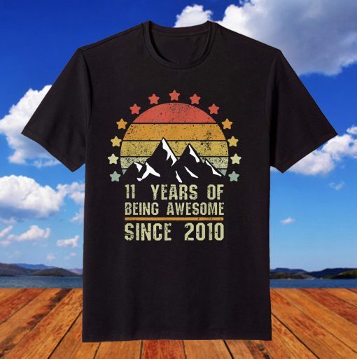 11 Years Old Retro 2010 Vintage 11th Birthday T-Shirt