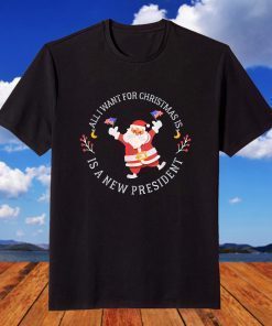 All I Want For Christmas Is A New President US Flag T-Shirt