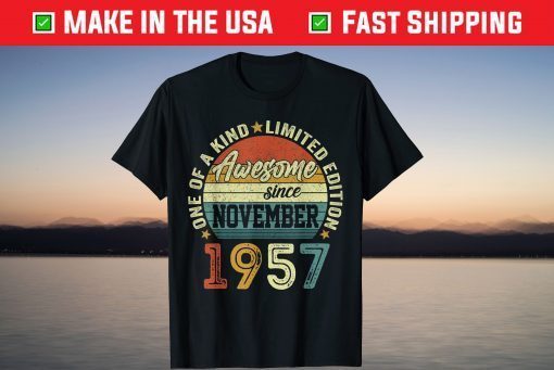 Awesome Since November 1957 64th Birthday 64 Years Old T-Shirt