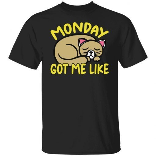 Cat Monday Got Me Like Gift shirt