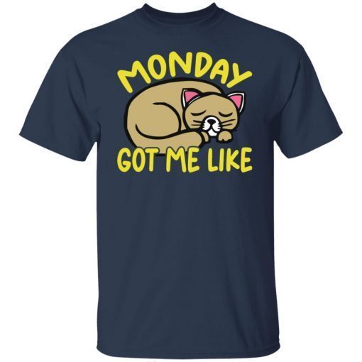 Cat Monday Got Me Like Gift shirt