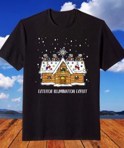 Christmas Vacation Decorations Exterior Illumination Expert T-Shirt