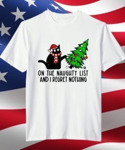 I Regret Nothing Black Cat Ornament Christmas Pajamas T-Shirt