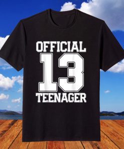 OFFICIAL TEENAGER 13th Birthday 2007 Boy Girl Birthday T-Shirt