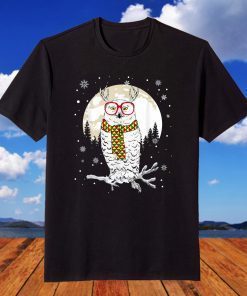 Owl Christmas Reindeer Antlers Xmas Costume T-Shirt