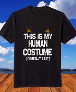 This is my Human Costume I m really a Cat Halloween T-Shirt