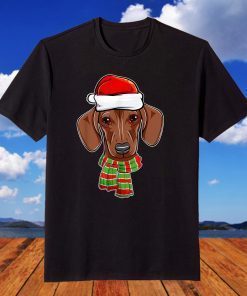 Xmas Dog Christmas Decorations Dachshund Pajama Santa Hat T-Shirt