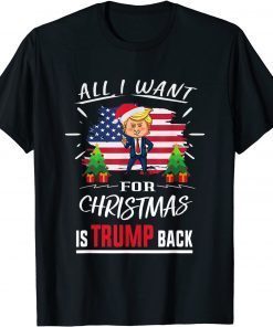 All I Want For Christmas Is Trump Back Re-elect President Gift Shirt