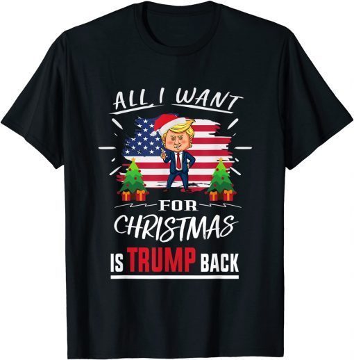 All I Want For Christmas Is Trump Back Re-elect President Gift Shirt