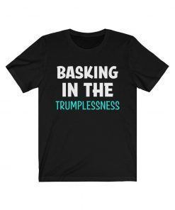 Anti Trump Voted Him Out Basking in the Trumplessness Gift shirt