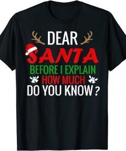Dear Santa, Before I Explain Christmas Matching Family Gift T-Shirt