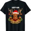 Let's Go Branson Brandon Christmas Lights Reindeer 2021 Shirt