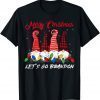Merry Christmas Let's Go Gnomies Brandon Anti Biden 2021 Shirt