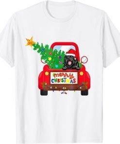 Portuguese Water Dog Riding Red Truck Christmas Pajama CPortuguese Water Dog Riding Red Truck Christmas Pajama Classic Shirtlassic Shirt