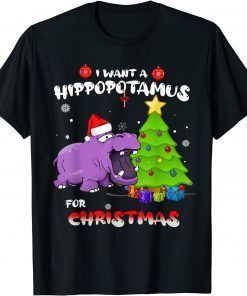 I Want A Hippopotamus For Christmas - All I Want For Xmas T-Shirt