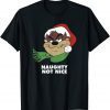 Looney Tunes Taz Naughty Not Nice Christmas Classic Shirt