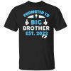Promoted To Big Bro I’m Going To Be A Big Brother 2022 Gift Shirt