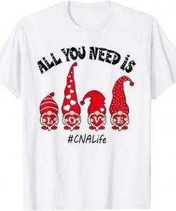 All You Need Is Love CNA Life Gnome Valentine's Day Gift Shirt