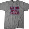 All the Small Things Unisex Shirt