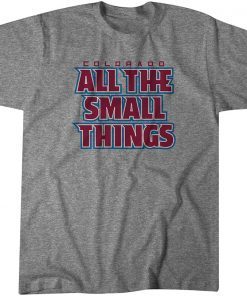 All the Small Things Unisex Shirt