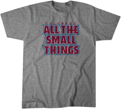 All the Small Things Unisex Shirt