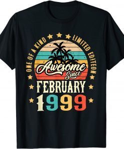 Awesome Since February 1999 Vintage 23rd Birthday Gift Shirt