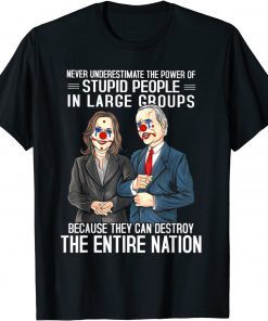 Biden Clown Because They Can Destroy The Entire Nation Unisex Shirt