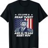 I'd Love A Mean Tweet And 1.69$ Gas Right Now USA Flag Classic Shirt