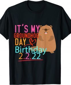 It's My Groundhog Day Birthday 2.2.22,cool Groundhog lovers Gift Shirt