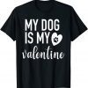 My dog Is My Valentine Paw Heart Pet Owner Gift Shirt