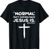 Normal Isn't Coming Back Jesus Is Gift Shirt