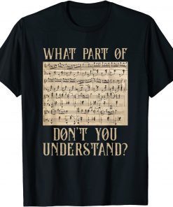 What Part Of The Music Notes You Don't Understand Musician Unisex Shirt