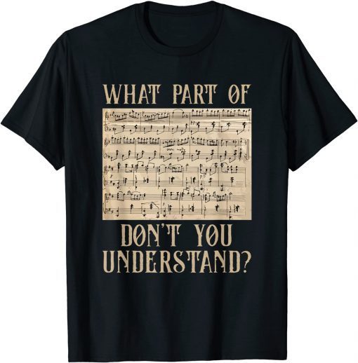 What Part Of The Music Notes You Don't Understand Musician Unisex Shirt