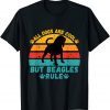 All Dogs Are Cool But Beagles Rule Beagle On Sunset T-Shirt