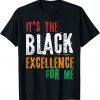 Black Excellence Afro Black Pride African Black History Mont Gift T-Shirt