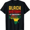 Black History Is American History BLM Black History Month Gift T-Shirt