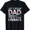 Just A Regular Dad Trying Not To Raise Liberals Softball Dad Unisex Shirt
