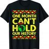 One Month Can't Hold Our History Apparel African Melanin Loc Limited Shirt